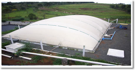Biodigestores